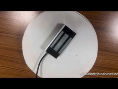 전기 자기 소형 캐비닛 잠금 강철은 진크가 100파운드-JS-60