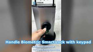 실내 손잡이 생체 인식 스마트 잠금 장치