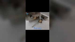 경험이 풍부한 전기 림 잠금 장치 공급업체